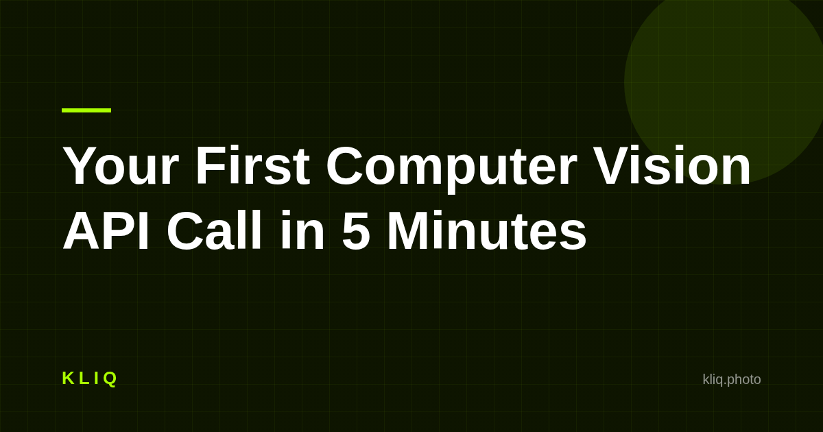 Your First Computer Vision API Call in 5 Minutes